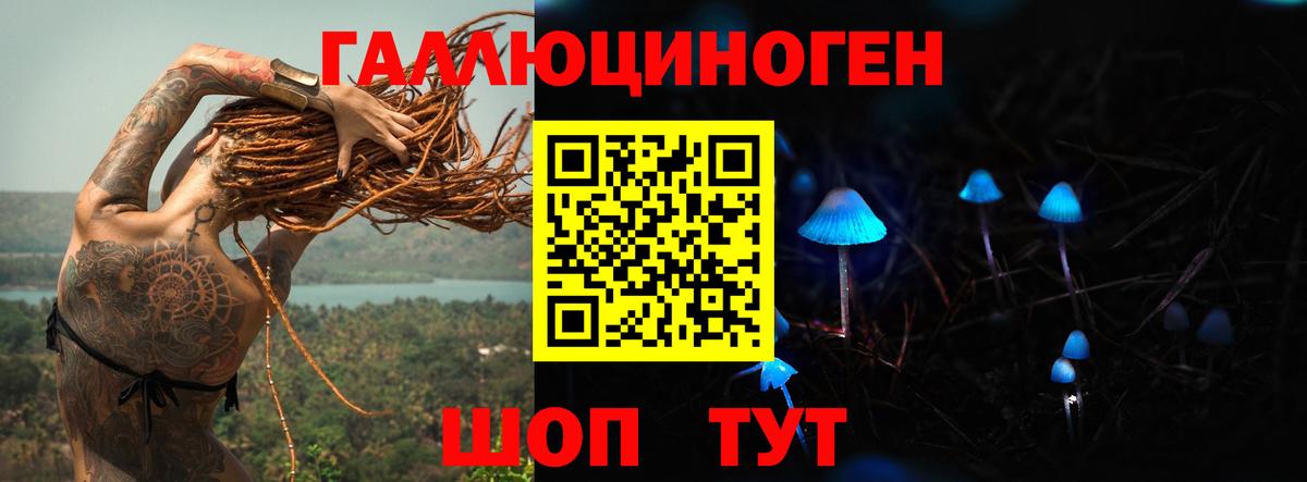 Псилоцибиновые грибы GOLDEN TEACHER  Псилоцибиновые грибы GOLDEN TEACHER  что такое   Вход с VPN  Гусиноозёрск 